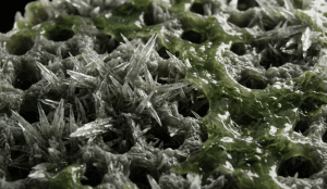 Ilustrasi mikroskopis perbedaan membran RO bersih dan membran yang terkena scaling kristal kapur.