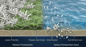 Ilustrasi mikroskopis penampang melintang permukaan membran RO menunjukkan mekanisme larutan asam (Low pH cleaning) melarutkan kristal kerak mineral scaling.