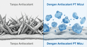 Perbedaan struktur kristal kerak dengan dan tanpa antiscalant