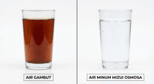 Perbandingan air gambut merah sebelum diolah dan air bersih jernih setelah diolah WTP Mizui Osmosa.