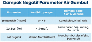 Tabel dampak negatif pH rendah, zat besi tinggi, dan zat organik pada air gambut terhadap aset dan kesehatan.