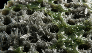 Microscopic illustration of the difference between a clean RO membrane and a membrane affected by limestone crystal scaling.