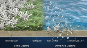 Microscopic cross-section illustration of the RO membrane surface showing the mechanism of an acid solution (Low pH cleaning) dissolving mineral scaling crystals.