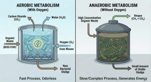 Diagram of the metabolic differences between aerobic and anaerobic bacteria in wastewater treatment.