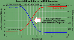Comparison graph of bacterial growth rates with and without bio-augmentation.