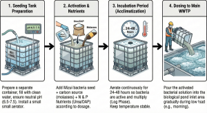 Flowchart of the correct seeding and acclimatization steps for WWTP bacteria.
