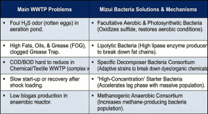 Recommendation table for bacterial types based on WWTP issues such as odor, grease, and high COD.