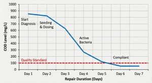 WWTP COD reduction graph after repair by Mizui Osmosa.