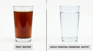 Gemini said Comparison of red peat water before treatment and clear purified water after Mizui Osmosa WTP treatment.