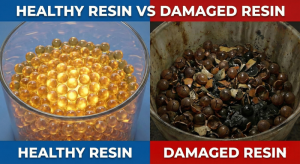 Visual comparison of new cation softener resin vs. resin damaged by organic fouling.